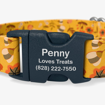 Buckle personalized